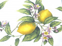 Tovaglia Stampata con limoni fondo giallo